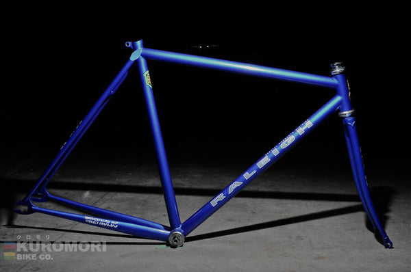 Raleigh discount track frame