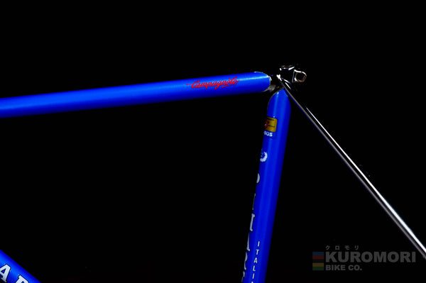Pinarello Treviso Pista Frameset – Kuromori Bike Co.