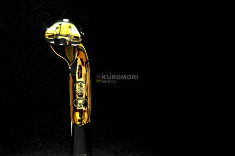 Pinarello Panto on Campagnolo Chorus Aero Seatpost.