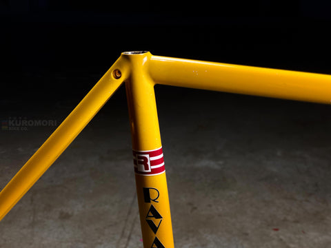 Ravanello Aero Tubing Track Frameset