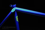 Raleigh Special Product Division Lo Pro Track Frameset